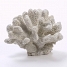 Coral Decorativo Branco