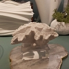 Escultura coral branca de resina com base em cristal